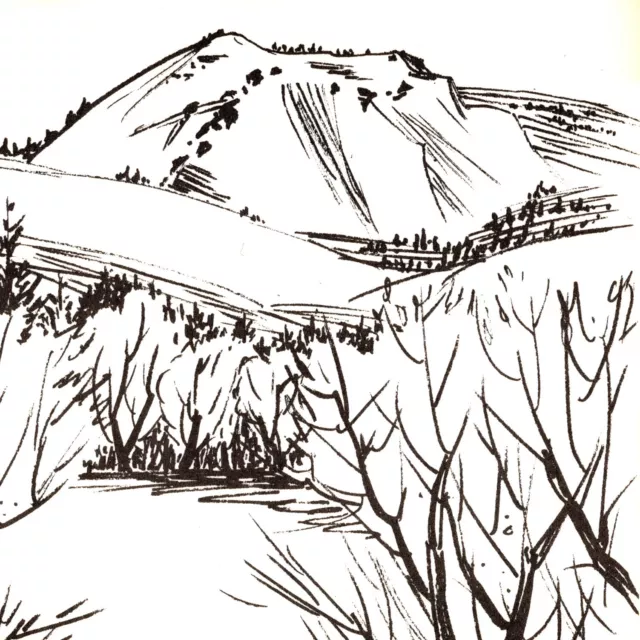 Vintage 1960s Eureka Peak Plumas State Park Hiking Trails Ski Slopes Postcard CA