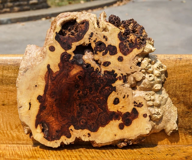 ¡Raro! Mesa AMBYNA BURL MADERA borde vivo losa natural resina epoxi hágalo usted mismo