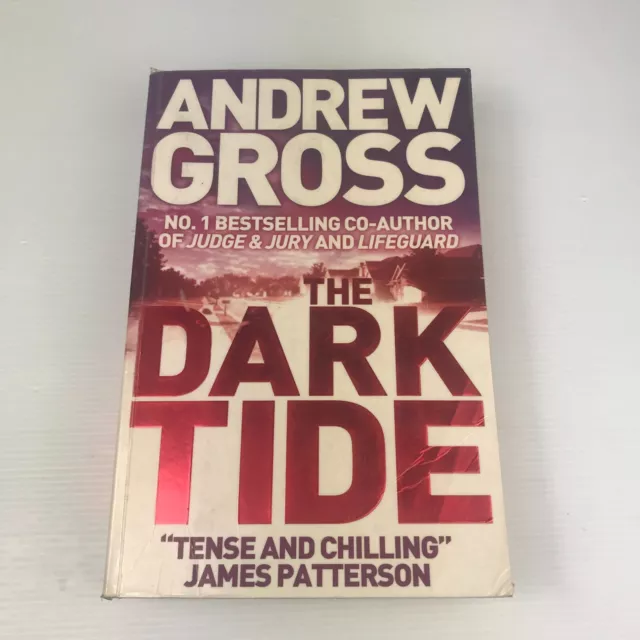 The Dark Tide by Andrew Gross Ty Hauck Book 1 Large Paperback Thriller