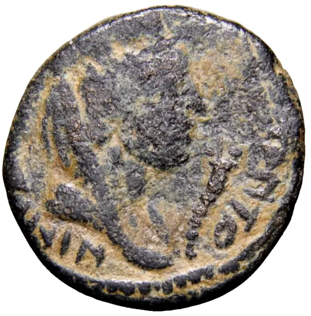 MESOPOTAMIA. Edessa. Macrinus (217-218). Ae. Tyche Ancient Roman Coin w/COA