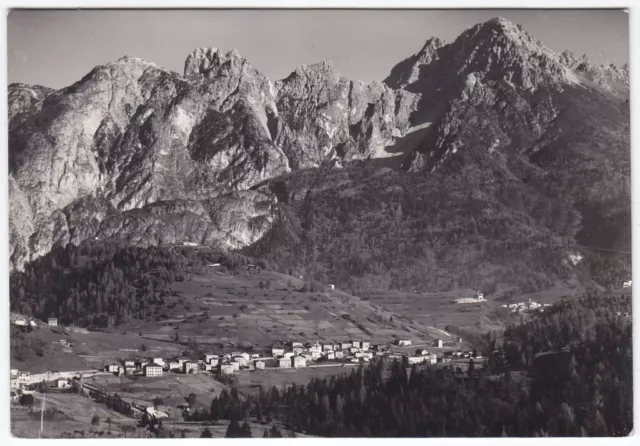 80195 BELLUNO VIGO DI CADORE Fraz. PELOS Cartolina FOTOGRAFICA viaggiata 1954