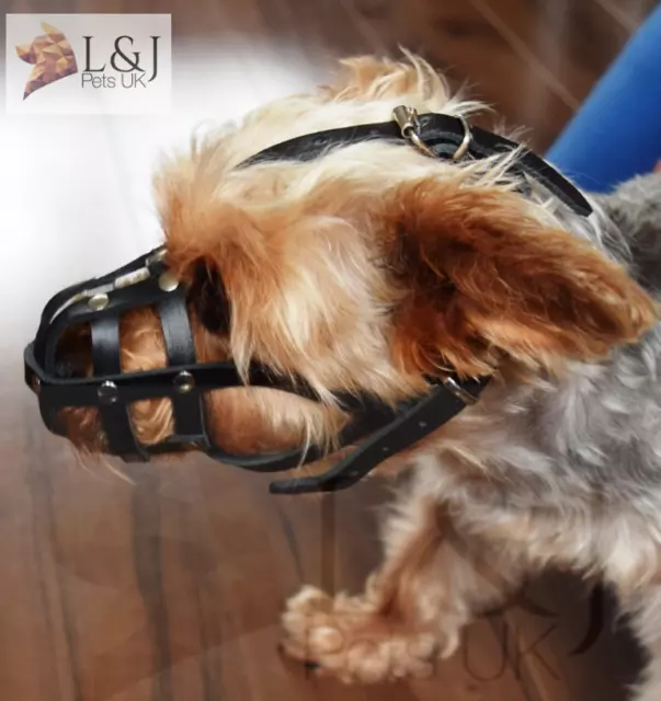 Light leather Dog Muzzle for Chihuahua Yorkshire Terrier Mini Pitcher  & Other