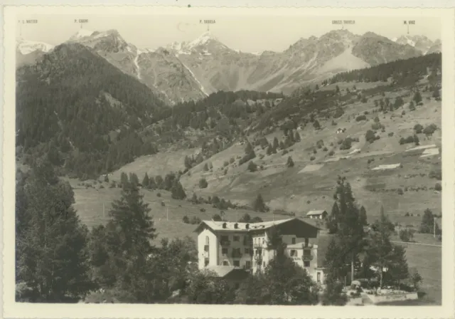 Acidule Di Peio -Trento -Albergo Alpino Cartolina