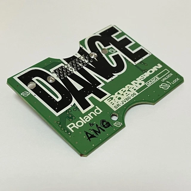 ROLAND DANCE SR-JV80-06 Wave Expansion Board Synthétiseur Module