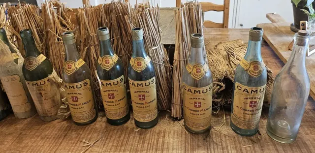 Caisse En Bois De Cognac  Camus La Grande Marque + 12 Bouteilles Vides Anciennes 3