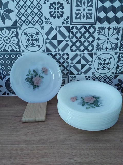 Lot De 12 Assiettes Creuses Arcopal Vintage - Motif Roses Et Feuilles D'Automne