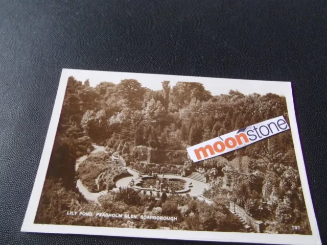 Vintage Postcard Of Lily Pond, Peasholm Glen, Scarborough, Yorkshire