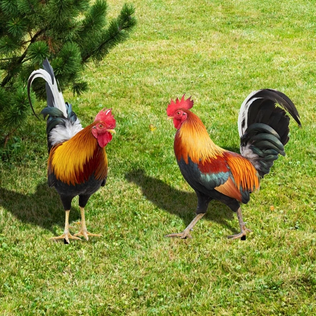 Yard Art Decor Sculptures Chicken-Decorations Rooster Statues Garden Ornaments