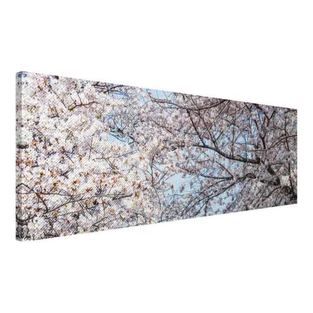 Leinwandbild Wandbild Bild Canvas Druck Panorama XXL Natur Baum Blüten Weiß Rosa