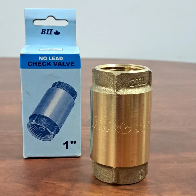 NUEVA válvula de retención de latón sin plomo de 1 pulgada - 17YBCV100NL