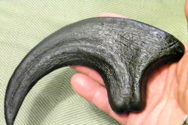 9 Inch Raptor Claw Replica Jurassic Dinosaur Fossil Nail Utahraptor Talon Relic
