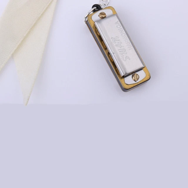 Porte Clé Harmonica Alliage Anches Amis Harmonica Solide Housse Plaque