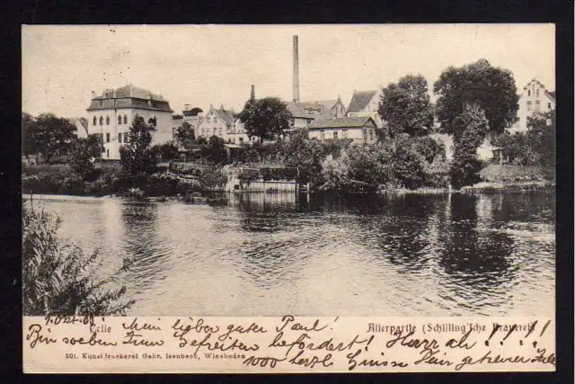 81286 AK Celle Allerpartie Schillingsche Brauerei 1903