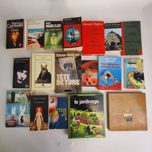 Lot de 43 Livres Variés - Romans, Thrillers, Littérature Classique et Moderne