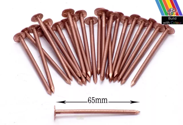 20 x 65mm Copper Nails Very Large Tree Stump Killer Tree Removal Gardening Home