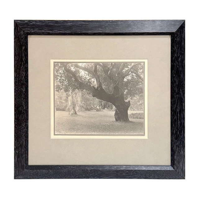 ミセス　10 & “Harmony” COMPLETE BOX Art Photographs, Art - PicClick