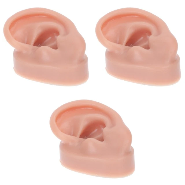 3 Pcs Menschliches Ohrmodell Sicherheits-Piercing-Tool Ohrlochpiercing Student