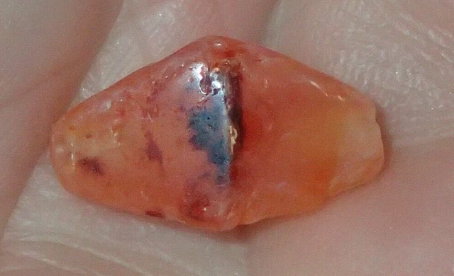 16mm Very Rare Ancient Carnelian Pyu Bead, # S5417