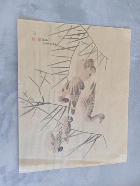 Acquarello Orientale