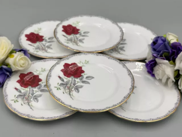 Royal Stafford Roses to Remember - Set of 6 x Vintage 6,5/8" Tea / Side Plates.