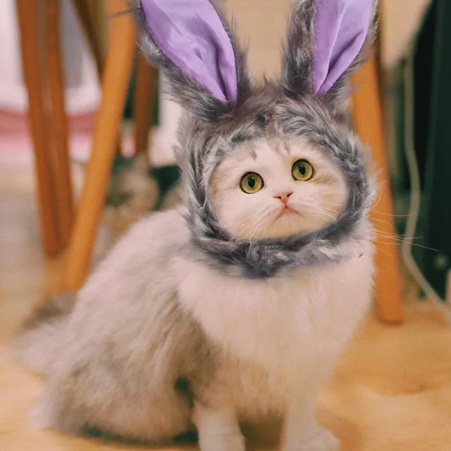 Forniture a forma di coniglio oggetti di scena fotografici copricapo per animali domestici cappello gatto costume gattino berretto per gatto