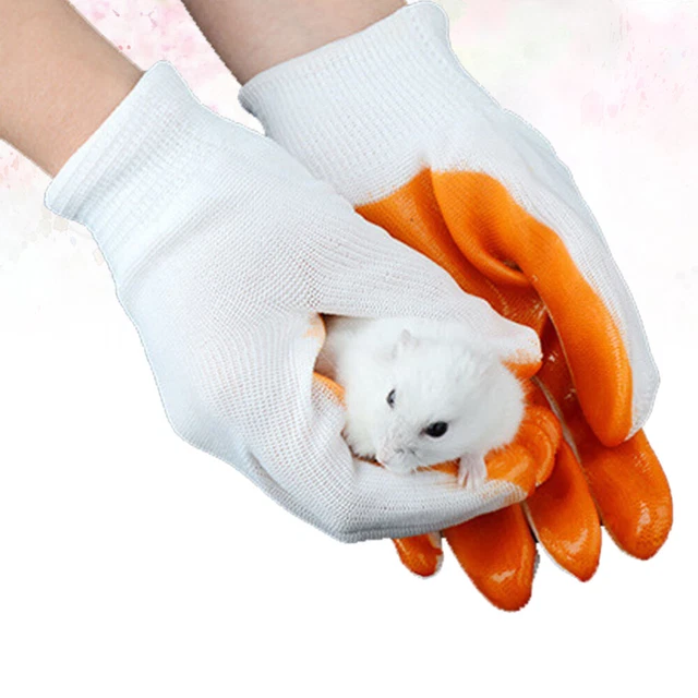 Guantes de entrenamiento para perros mascotas hámster guantes tonos tierra gato callejero