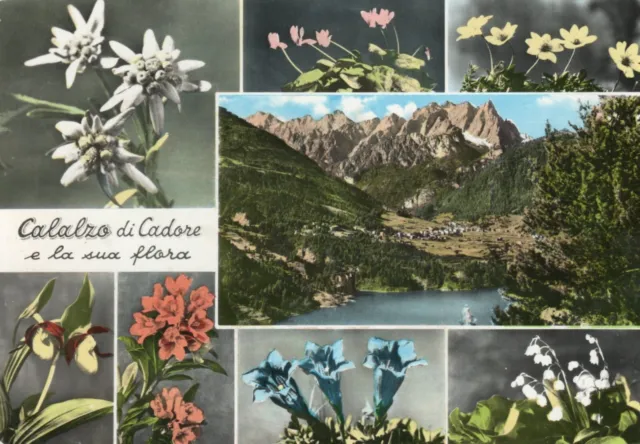 Cartolina 1964 Italia Belluno Calalzo Di Cadore Vedutine Saluti Italy Postcard