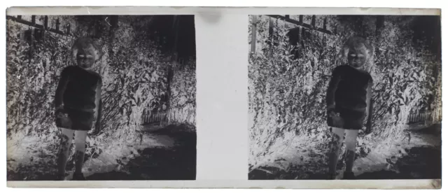 Enfant au jardin Photo NEGATIVE Plaque de verre Stereo Vintage V34L5n