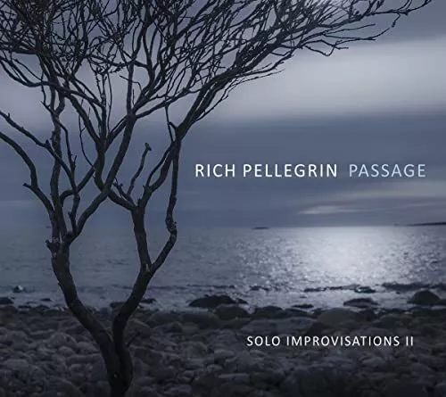 Rich Pellegrin - Passage: Solo Improvisations II [CD]