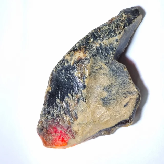 100.10 Carat Natural EGL Certified Baltic Amber Translucent rough Loose Gems