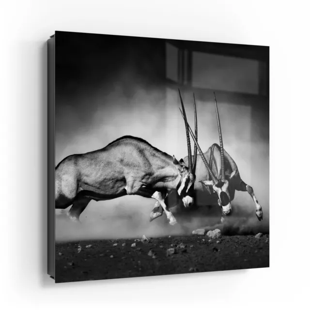 DEQORI Schlüsselkasten Glasfront 30x30 cm 'Aggressive Oryxantilopen' Box modern