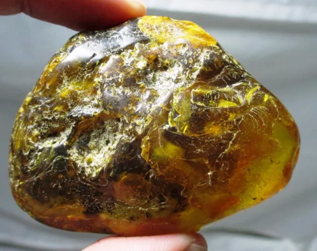 Large 42 gram piece of Baltic amber with insect - partially polished fossil