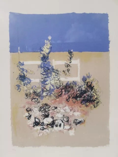 GIANCARLO CAZZANIGA: Litografia 69x48 in Cornice, Firmata, Numerata. STUPENDA!!!