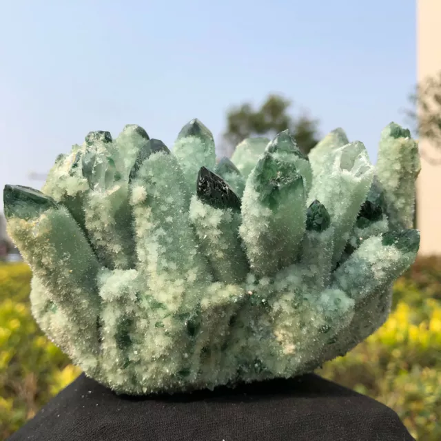 New Find Green Phantom Quartz Crystal Cluster Mineral Specimen Healing 3
