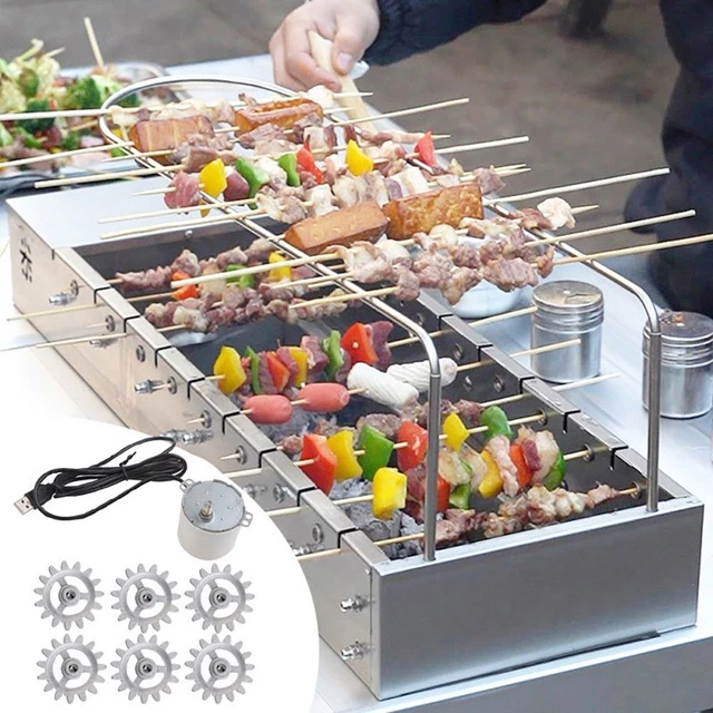 MOTORE GRIGLIA MOTORE barbecue rotatore, rotatore barbecue rotatore giradischi Z8S8 EUR 13,30