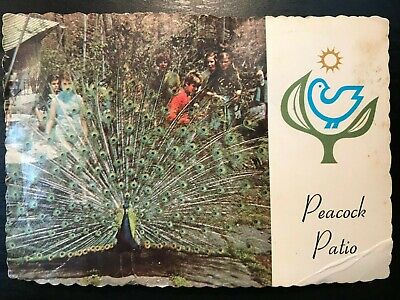 Vintage Postcard 1960-1973 Sterling Forest Gardens Peacock Patio Tuxedo NY