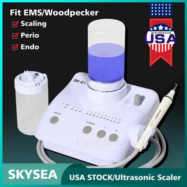 FDA Dental Ultrasonic Piezo Scaler Handpiece Tips 2 Bottles for EMS Woodpecker