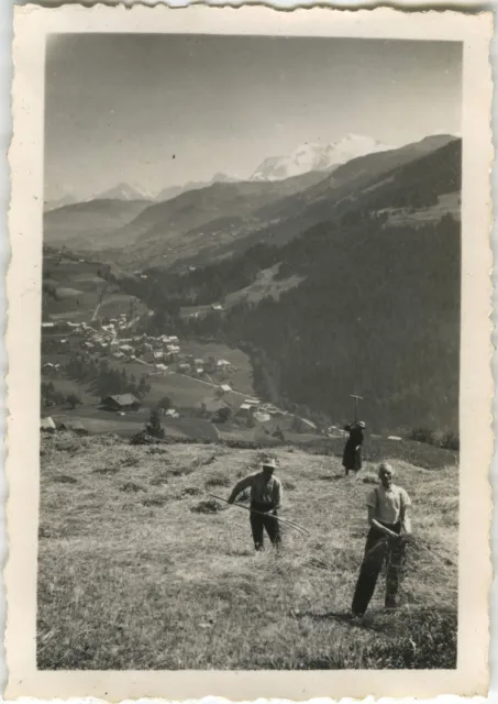 Photo Ancienne - Vintage Snapshot - Montagne Moisson Fermier Paysan - Mountain