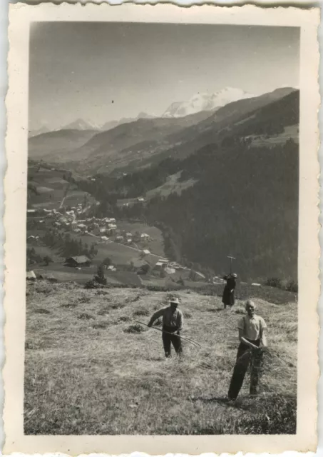 Photo Ancienne - Vintage Snapshot - Montagne Moisson Fermier Paysan - Mountain