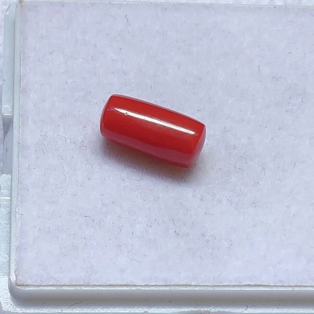Cabochon de corail italien naturel de qualité AAA+, pierres précieuses en...
