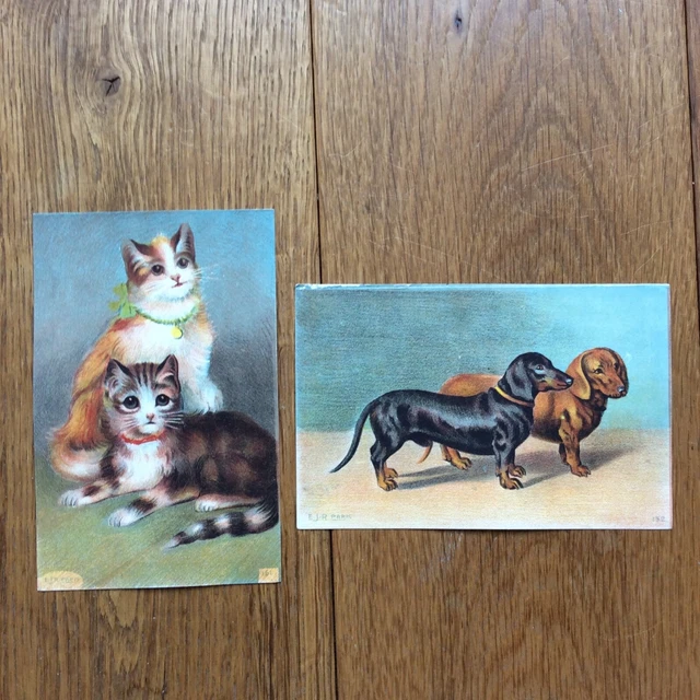 2 CPA Fantaisie en couleurs Chiens et Chats EJR Paris