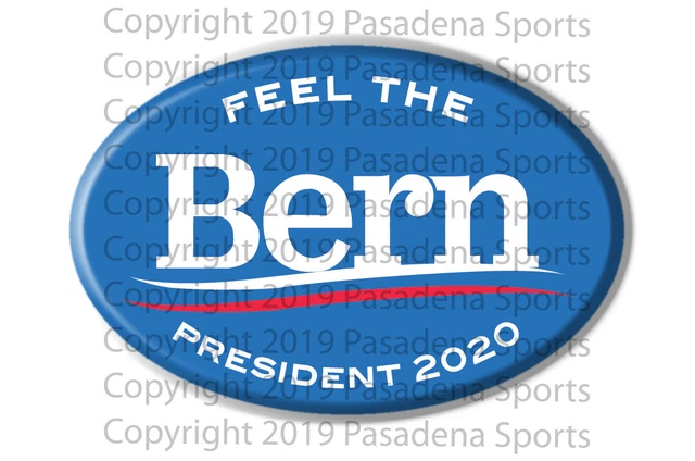 2020 FEEL THE BERN, BERNIE SANDERS for PRESIDENT OVAL CAMPAIGN BUTTON, ovalblu