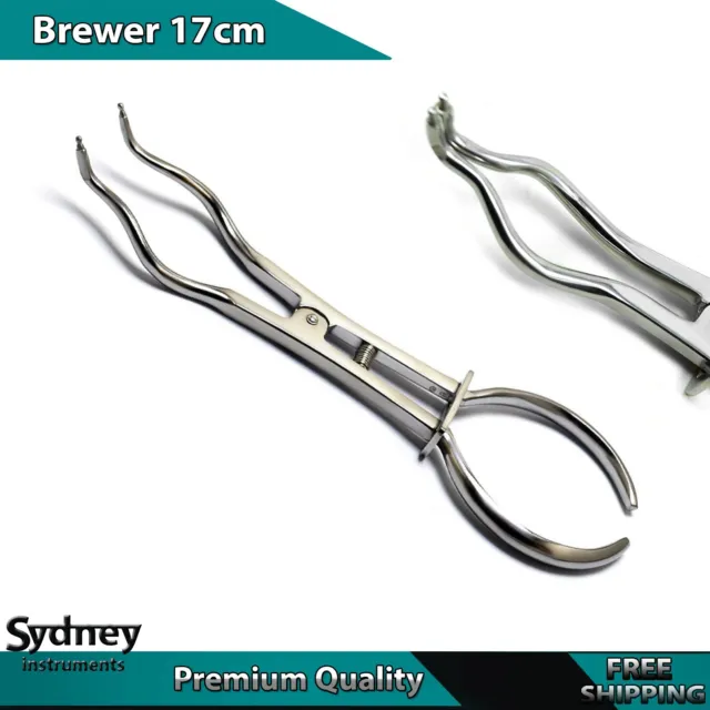 Dental Endodontic Clamp Plier style surgical Brewer Type Rubber Dam Forceps