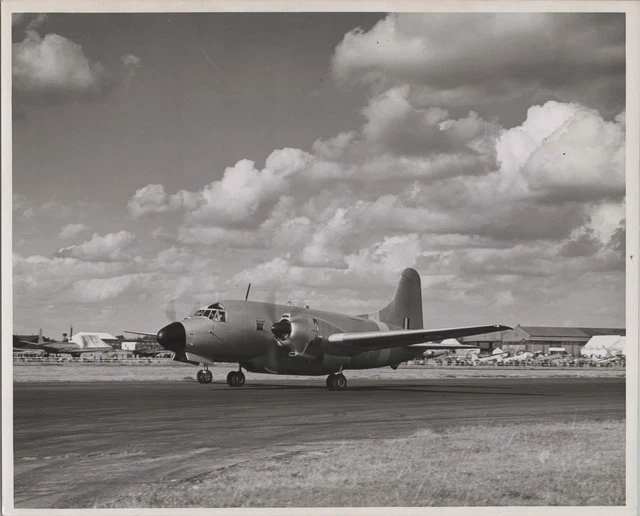 Vickers Varsity Original Vintage Press Photo Raf Royal Air Force 17
