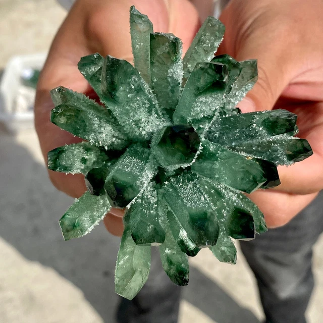 279G New Find Green Phantom Quartz Crystal Cluster Mineral Specimen Healing 4