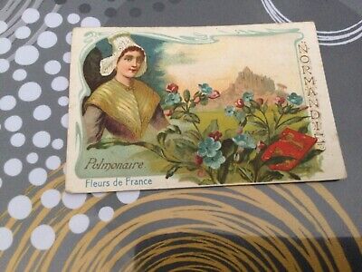 SUPERBE CHROMO IMAGE ANCIENNE FLEURS DE FRANCE/IRIS/BEARN/BLASON 