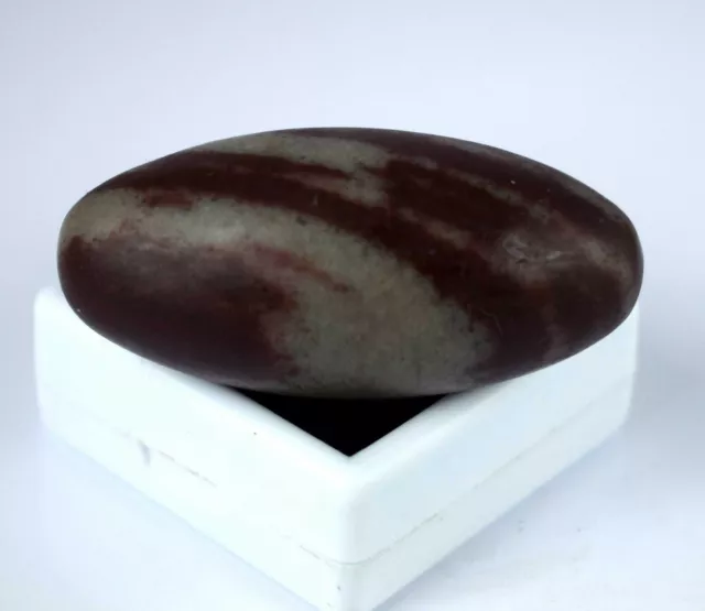 Natural 43.49 Gram/2.04" Shiva Lingam Crystal Healing Stone Festive Sales 3