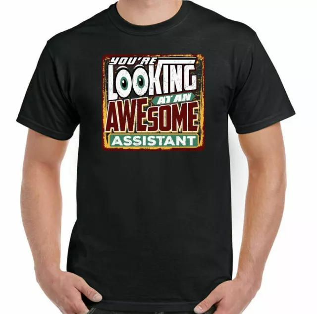 Assistant T-Shirt You're Looking at an Awesome Mens Funny Gift Top