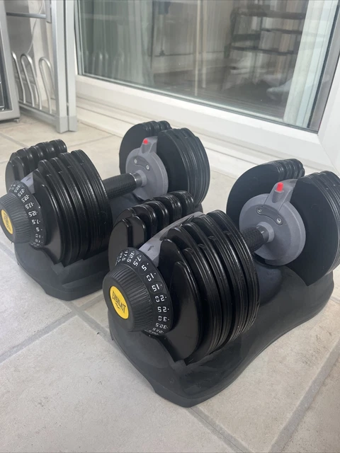 EVERLAST ADJUSTABLE DUMBBELLS Pair 32.5kg each 65kg total