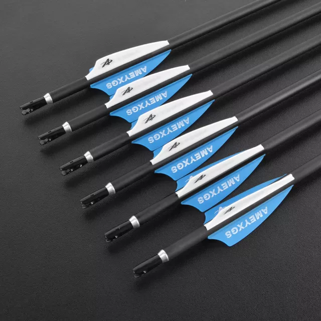 12X 32'' Carbon Arrow SP1000 Target Practice Archery RecurveBow Longbow Shooting 3